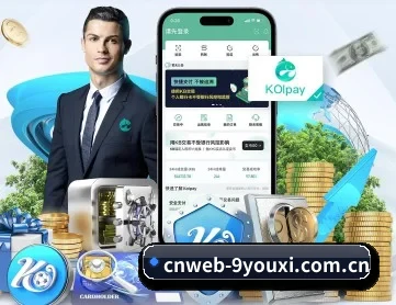 cnweb-9youxi.com.cn APP 深度功能